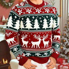 Angus | Festive Knitted Jumper with Winter Motifs