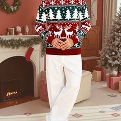Angus | Festive Knitted Jumper with Winter Motifs